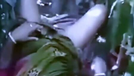 Indian Cheating Bhabhi Outdoor Sex in Cornfield