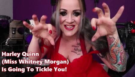 Harley Quinn Is Going To Tickle YOU - wmv