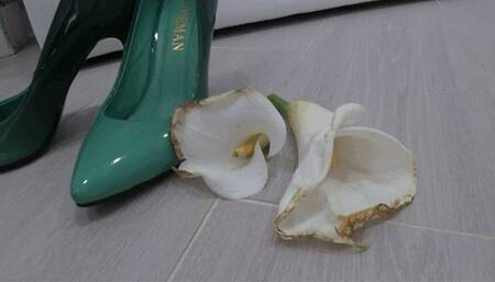 I stomped and crushed two white flowers with green shoes a