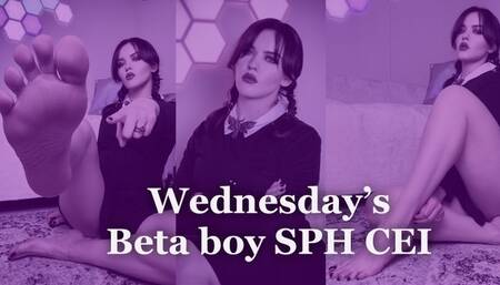 Wednesday's Beta boy SPH CEI