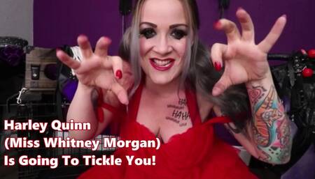 Harley Quinn Is Going To Tickle YOU