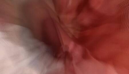 Fetish212 - Rachel Steele's Smelly Armpits