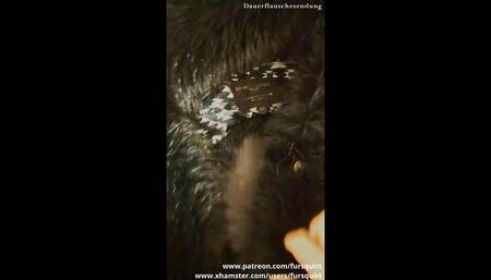Spirithoods Collection Cumshots #1