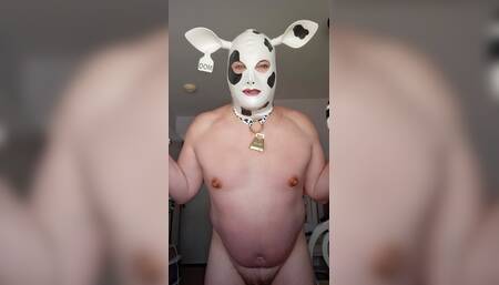 Introducing HUCOW Vicki,  she puts the OOO in Moo!