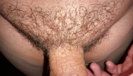 What does a penis look like?