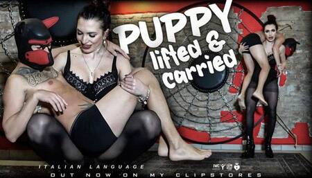 LADY SCARLET - LIFTED AND CARRIED PUPPY hd