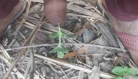 Indian cock fucking Hindi sex video