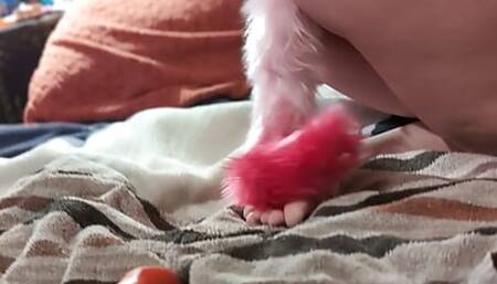My pussy gets DESTROYED by MASSIVE dildo