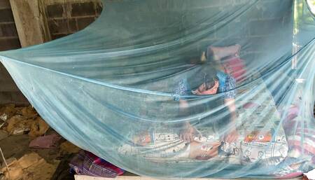 FN082 When I fell in love So I did this to you.