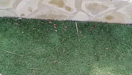 Lingerie in the Pool