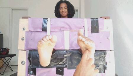 Alexa in all body tickling on the stock