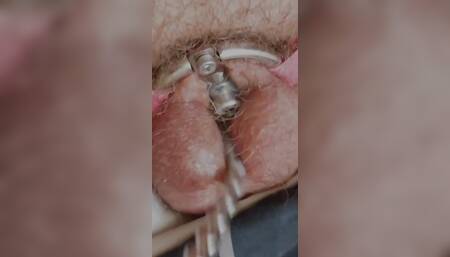 Flat Cage Chastity Cum with a Sounding Rod