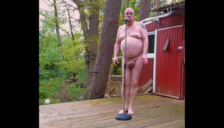 Naked Singer