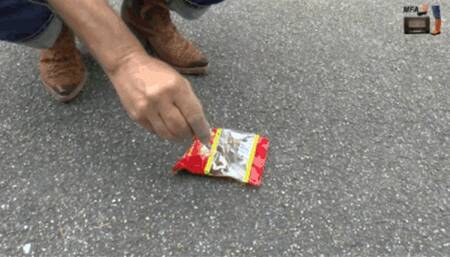 Jellys for my Boot Slave