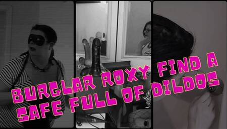 Burglar Roxy Strikes Gold WMV