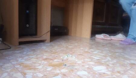 SHRUNK NEIGHBORS COME INTO MY HOUSE