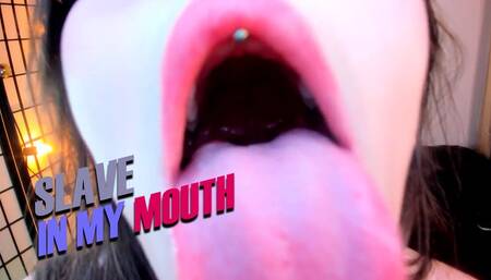 Slave in my Mouth