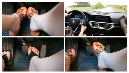 HOT PREMIERE: Sexy girls drive new BMW 3 series very fast and make hard braking