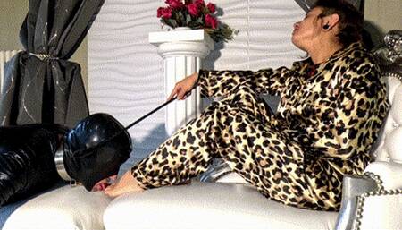 Always stay on your knees before Me