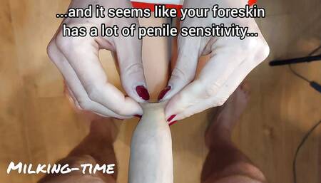 Milking-time;Milking time sttudio