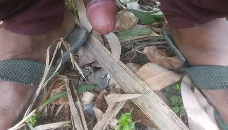 Video Hindi first time cock fucking