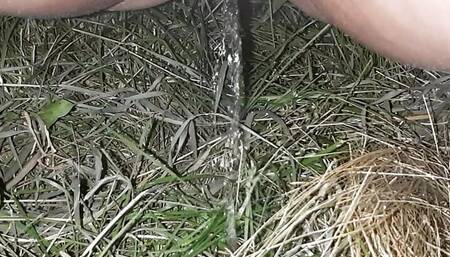 First I pissed and masturbated, and then my girlfriend also pissed and masturbated in public place - Lesbian-illusion