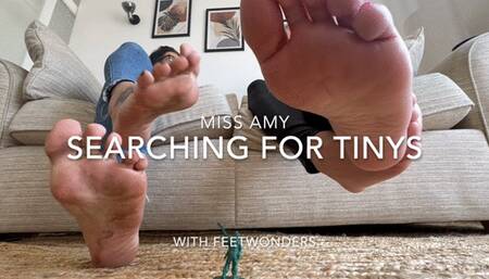 Searching For Tinys