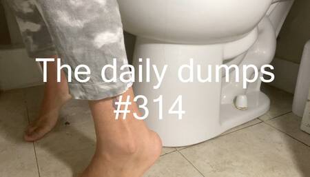 The daily dumps #314