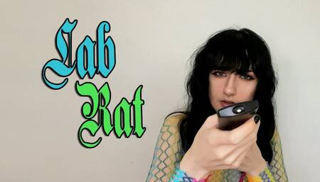 Lab Rat