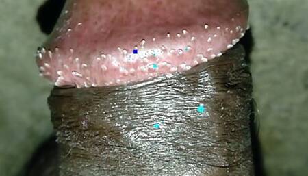 my hairy penis and anus