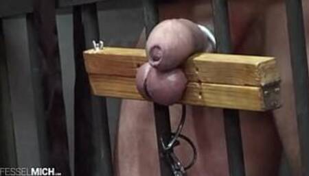 CBT Hodenfolter mit Hodenpranger im Käfig gefesselt ausgepeitscht gequält in der Zelle Sklavenverhör peinigung Qual