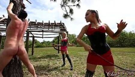 Pegging Slave 142's Ass/ Whipping Their Pony Slave