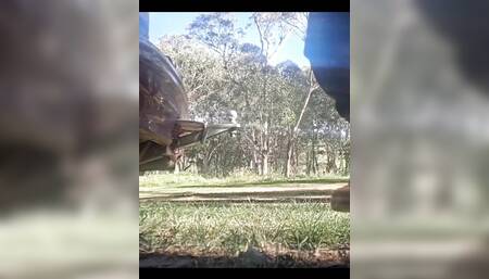 Anal fuck tow ball