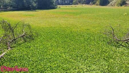 Stepmom and Stepson in Travel Trip - Shower