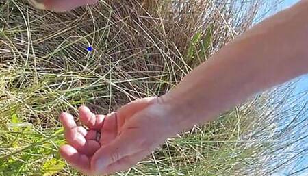 A walk through the dunes