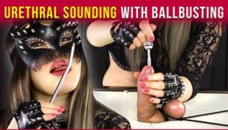 Urethral Sounding and Ballbusting – Femdom Handjob | Era