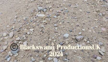 Mystical Woodland Witch and Swann