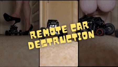 Remote Control Toy Car Destruction wmv