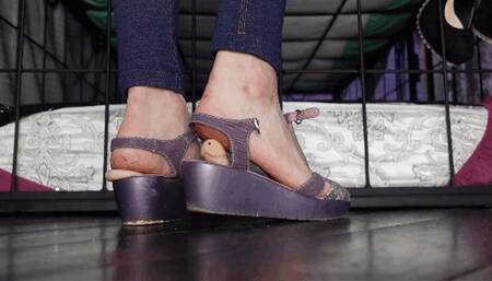 The giantess will crush this small dicks