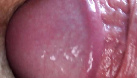 Get an anal bonus for helping me shave my hairy pussy. Lots of close-ups.