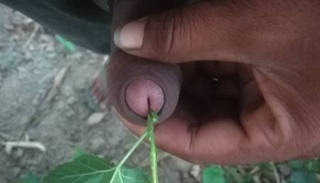 Bachelor's cock Uttar Pradesh Hindi sex video