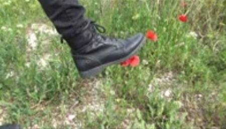 Grass and little trees trampling with boots