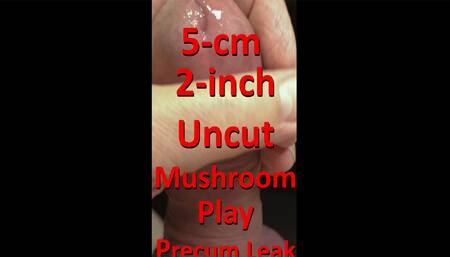 5cm 2inch Uncut Mushroom Play for Precum leaking w live Audio