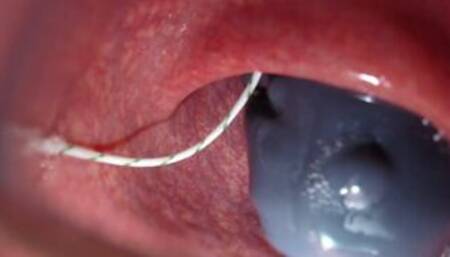 internal view bad dragon flint cum and pump my guts full