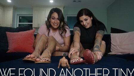 We Found A Tiny