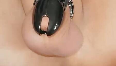 Sissy husband dressed up, in chastity and pegged in her boi pussy