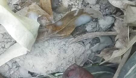 Virgin boy cute cock Hindi sex video