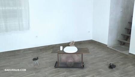 Mistress Mya's toilet wmv