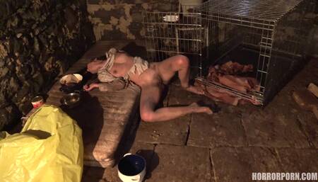 HORROR PORN – The Best Horror Porn Movies (4K)