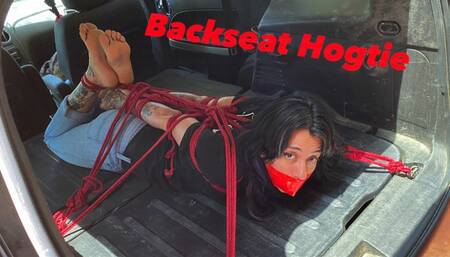 Backseat Hogtie ft Jake Wing (Bondage)